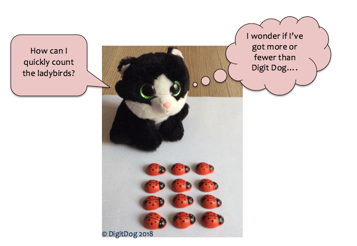 counting ladybirds