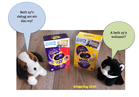 same different eggs W